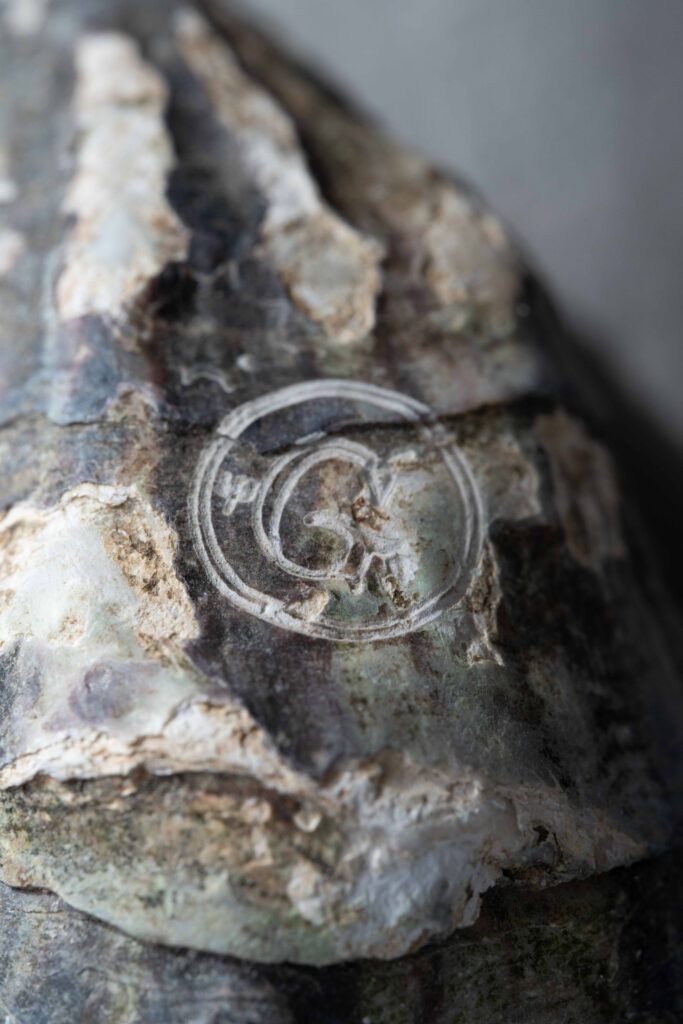 Close-up van een oesterschelp met een gegraveerd logo, detailfotografie voor branding